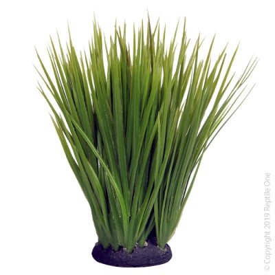 Spinifex with Resin Base