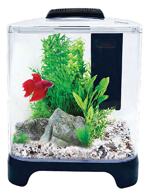 Betta Haven Acrylic Aquarium