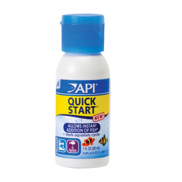 API Quick start