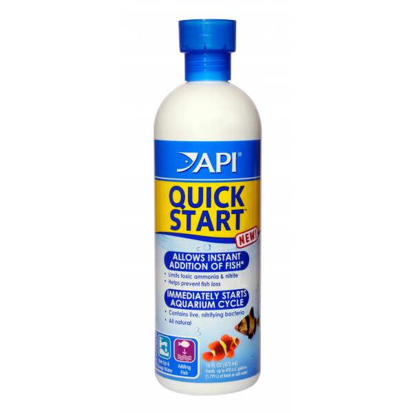 API Quick start