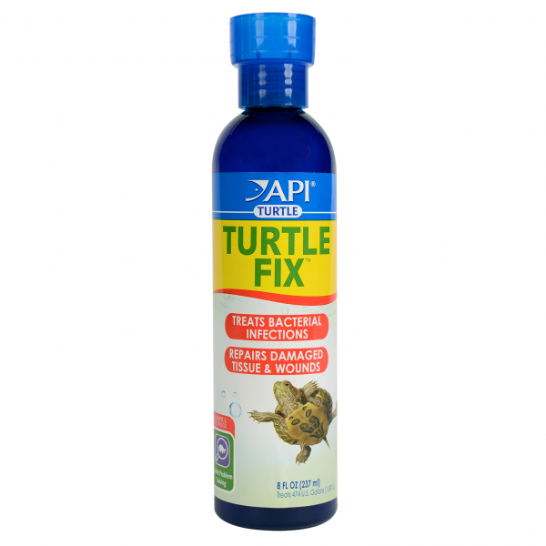 API Turtle Fix