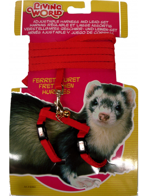Living World Ferret Harness+Lead set