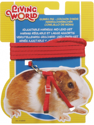 Living World Guinea Pig Harness/Lead set