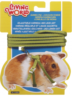 Living World Guinea Pig Harness/Lead set