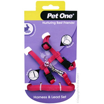 Leash & Harness Rabbit, Guinea Pig, Ferret
