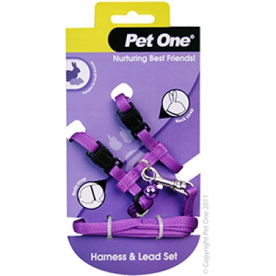 Leash & Harness Rabbit, Guinea Pig, Ferret