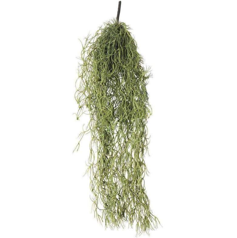 Hanging Spanish Moss Grey