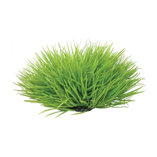 Spinifex with Resin Base
