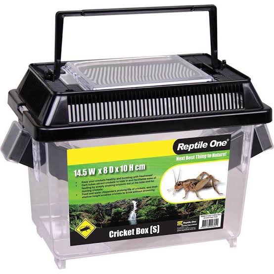 Reptile One Cricket Holding box