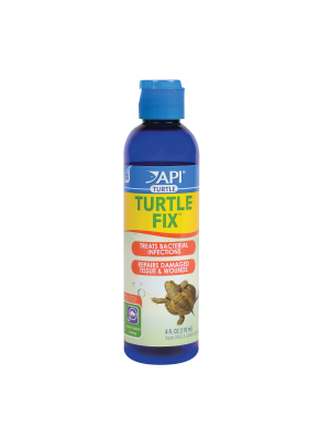 API Turtle Fix