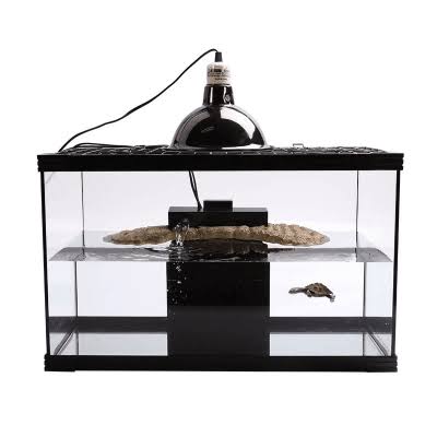 Turtle Nursery