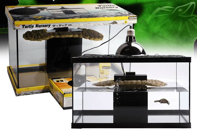 Turtle Nursery