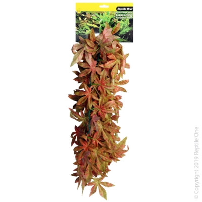 Red Hanging Sativa