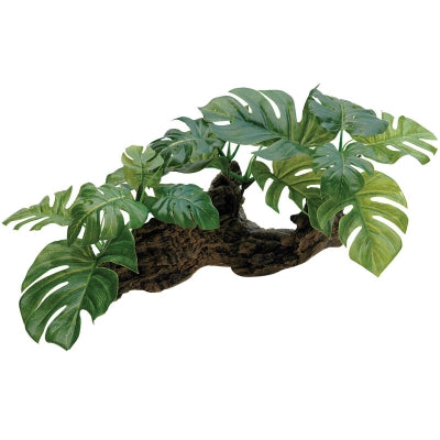 Driftwood With Plastic Plant