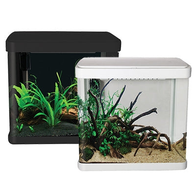 Lifestyle 21 Complete Glass Aquarium