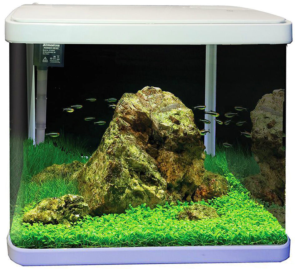 Lifestyle 29 Complete Glass Aquarium