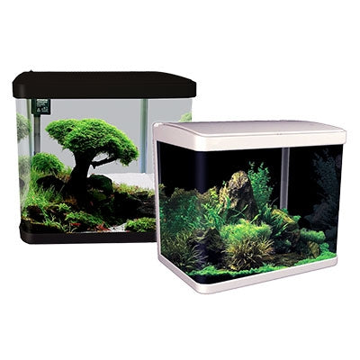 Lifestyle 29 Complete Glass Aquarium