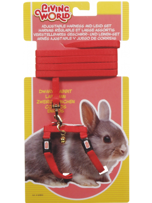 Living World Dwarf Rabbit Harness/Lead set