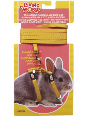 Living World Dwarf Rabbit Harness/Lead set