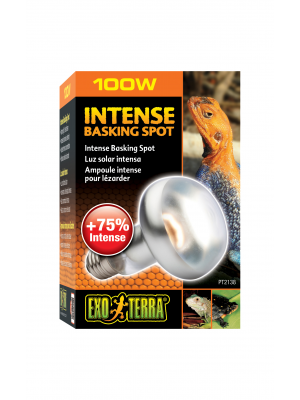 Exo Terra Intense Basking Spot Lamp