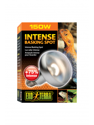 Exo Terra Intense Basking Spot Lamp