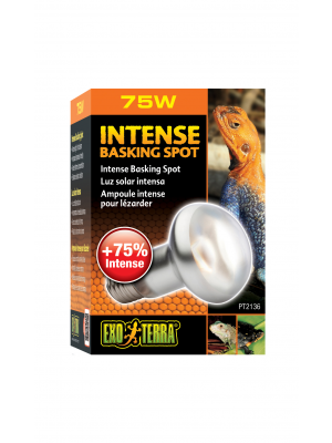 Exo Terra Intense Basking Spot Lamp