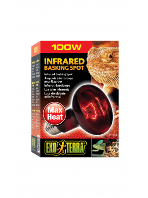 Exo Terra Heat Glo Infrared Heat Lamp