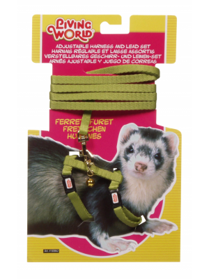 Living World Ferret Harness+Lead set