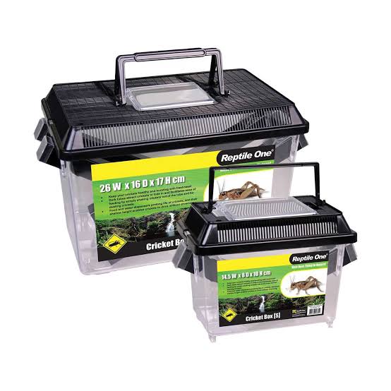 Reptile One Cricket Holding box