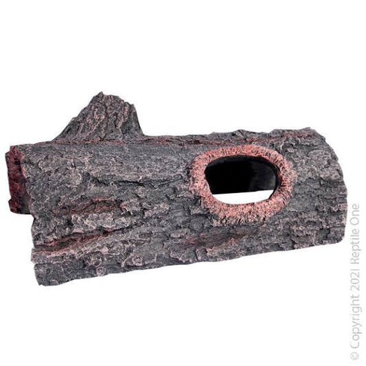 Log With Two Holes