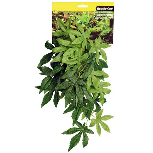 Green Hanging Sativa