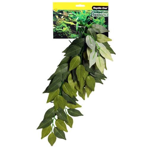 Green Variegated Ivy Cascading Plant