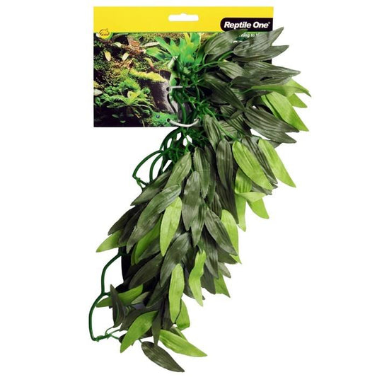 Green Tradescantia Cascading Plant
