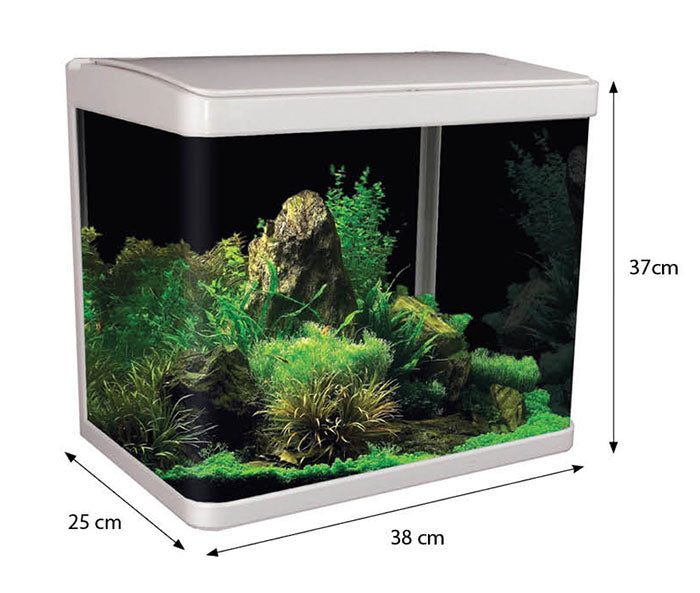 Lifestyle 29 Complete Glass Aquarium