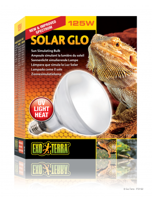 Exo Terra Solar Glo Self Ballasted UV Heat Lamp